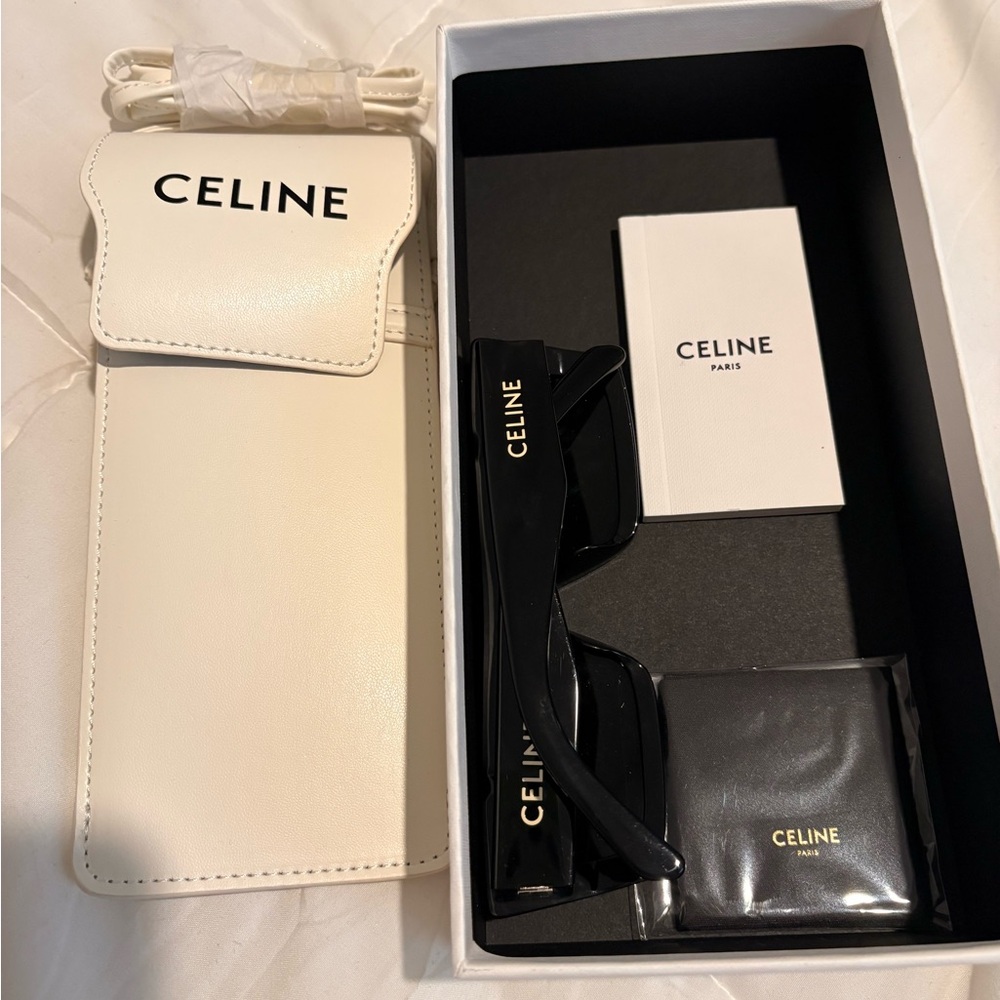 CELINE MONOCHROMS 02 SUNGLASSES IN ACETATE
